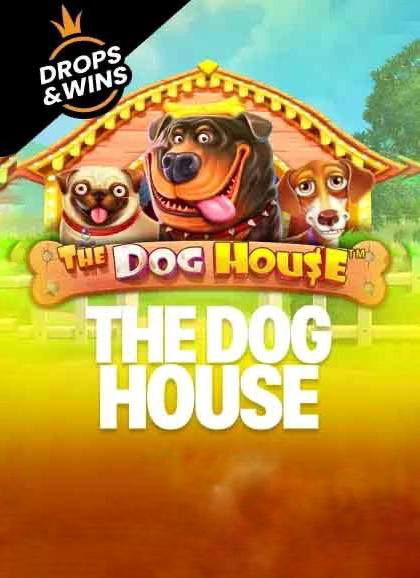 The Dog House — 1win